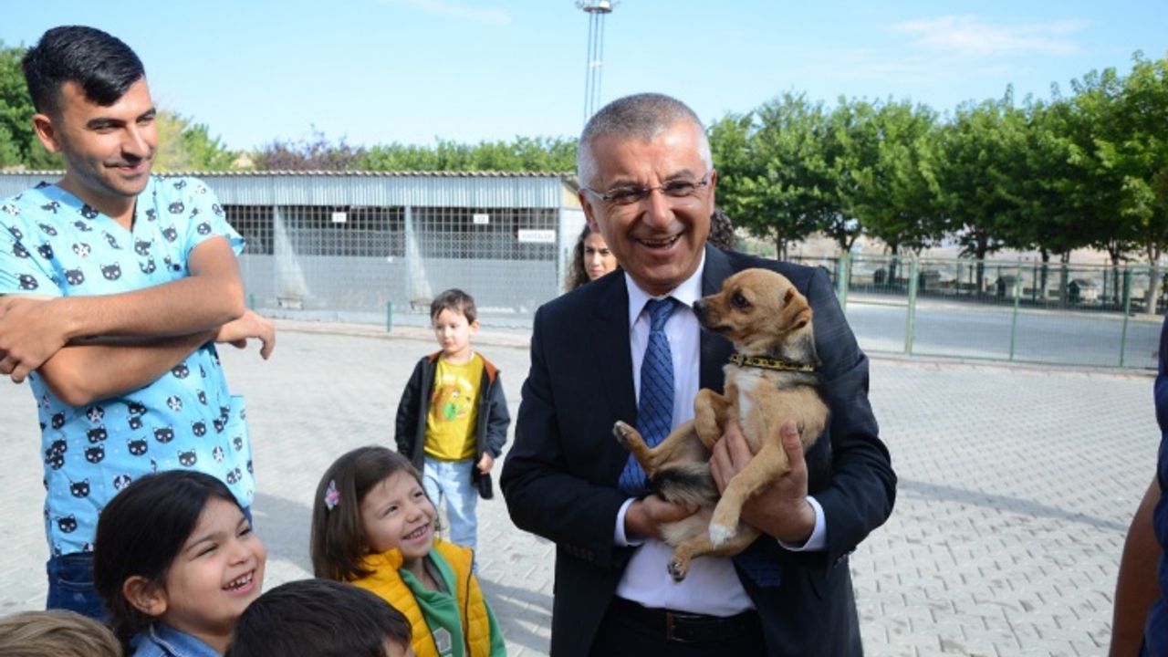 Kırşehir Belediyesi, Dünya Hayvanları Koruma Gününde farkındalık yarattı