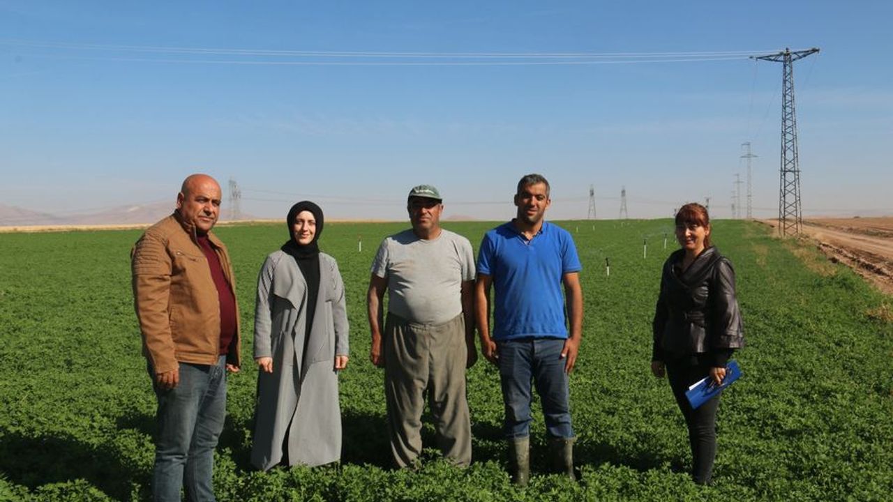 Kırşehir’de hibe alan çiftçiler yakın takipte
