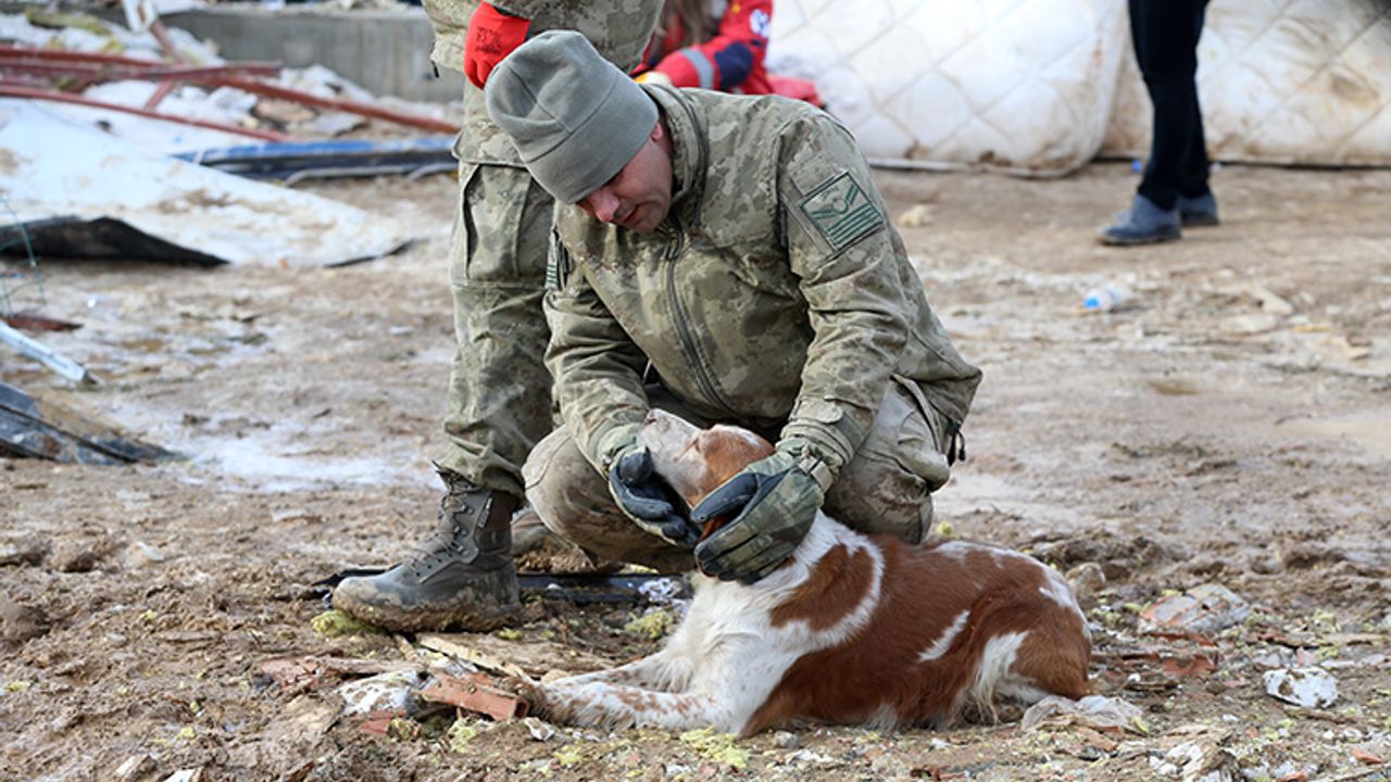 Malatyalı depremzede, av köpeği "Alex" ile kurtarma çalışmalarına katılıyor