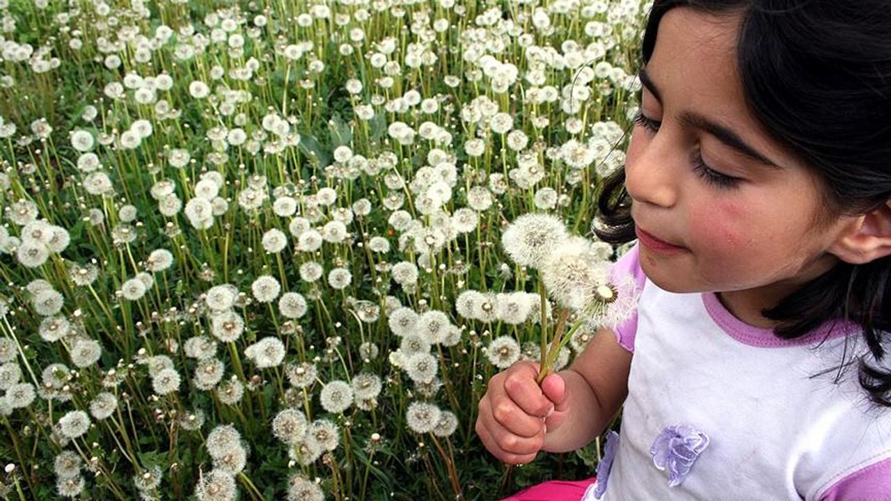 Polen alerjisi en çok çocukları etkiliyor