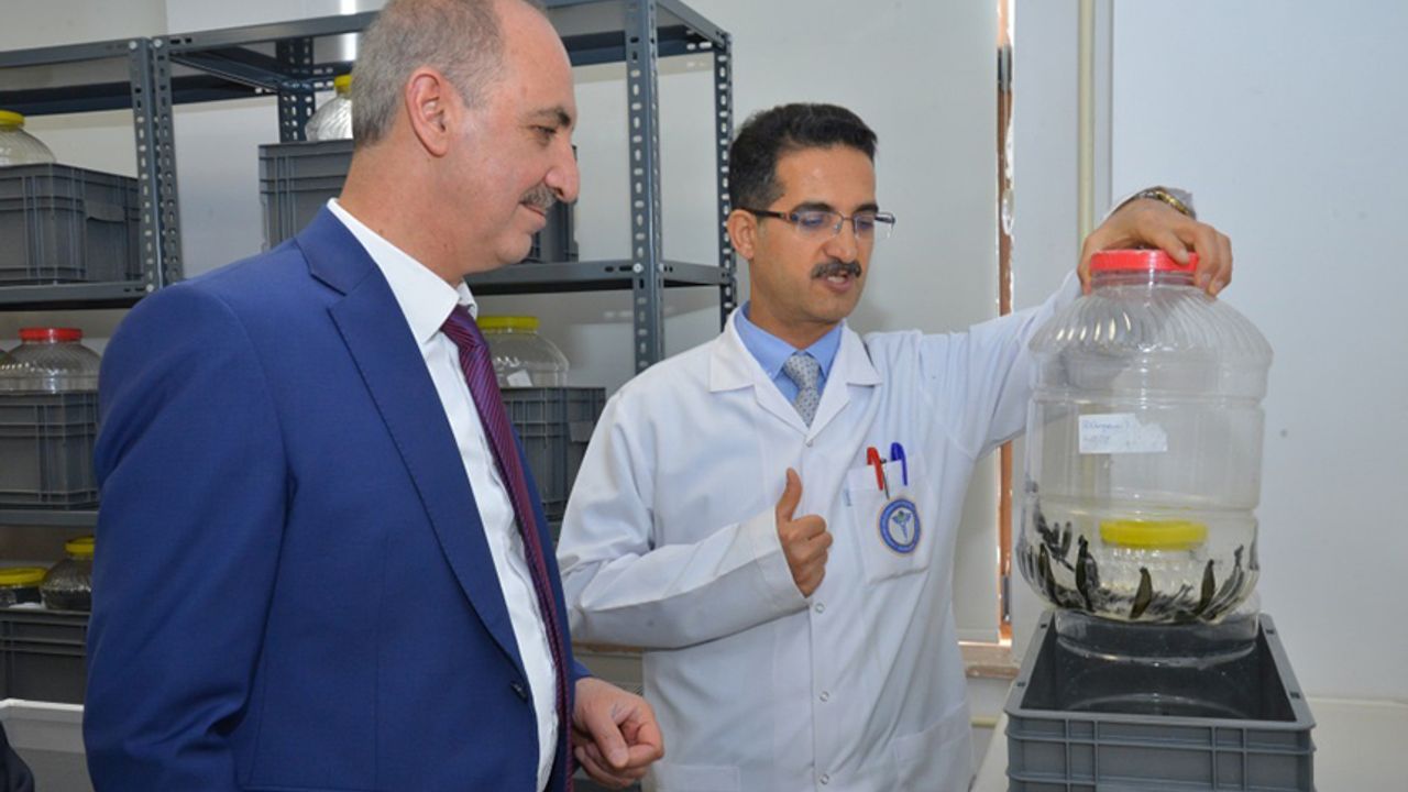 Kırşehir Ahi Evran Üniversitesi GETAT Projesiyle Geleneksel Tıbbı Bilimle Buluşturuyor