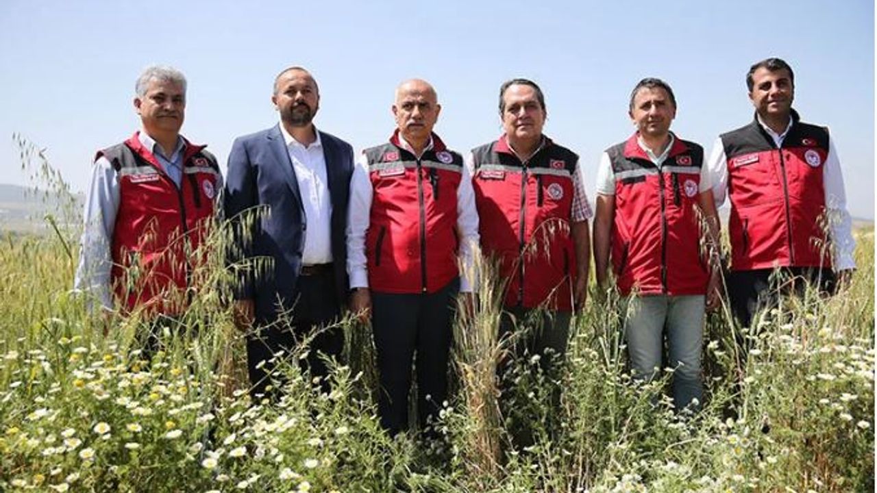 Bakan Kirişci: “Buğdayda beklenen 21 milyon ton rekolte  Türkiye'nin ihtiyacının karşılanması noktasında yeterli”
