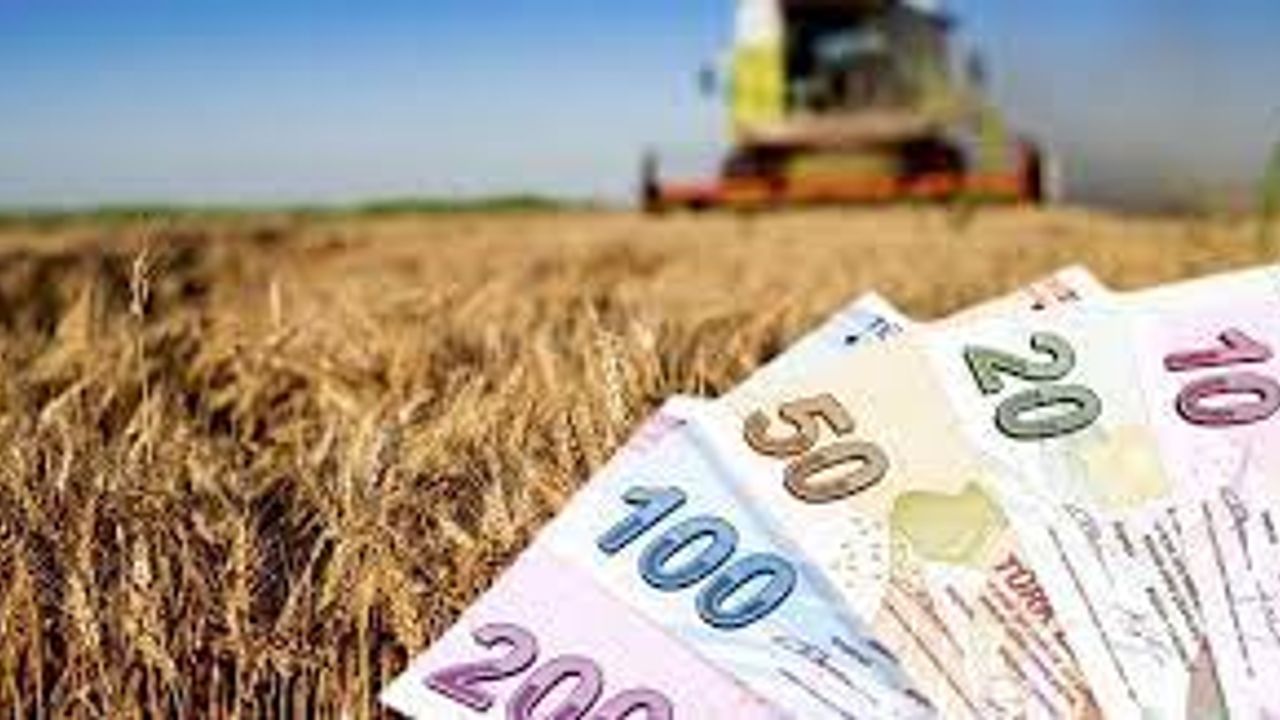 Kırşehir’deki çiftçiler destek ödemelerini alıyor