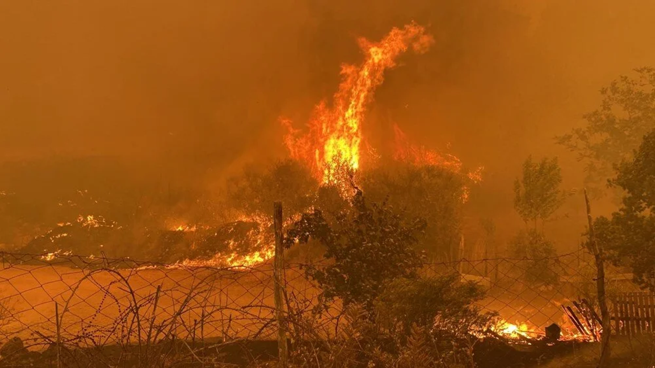 Çanakkale'de son durum nedir? Çanakkale'de yangın devam ediyor mu? Çanakkale'de yangın neden çıktı?
