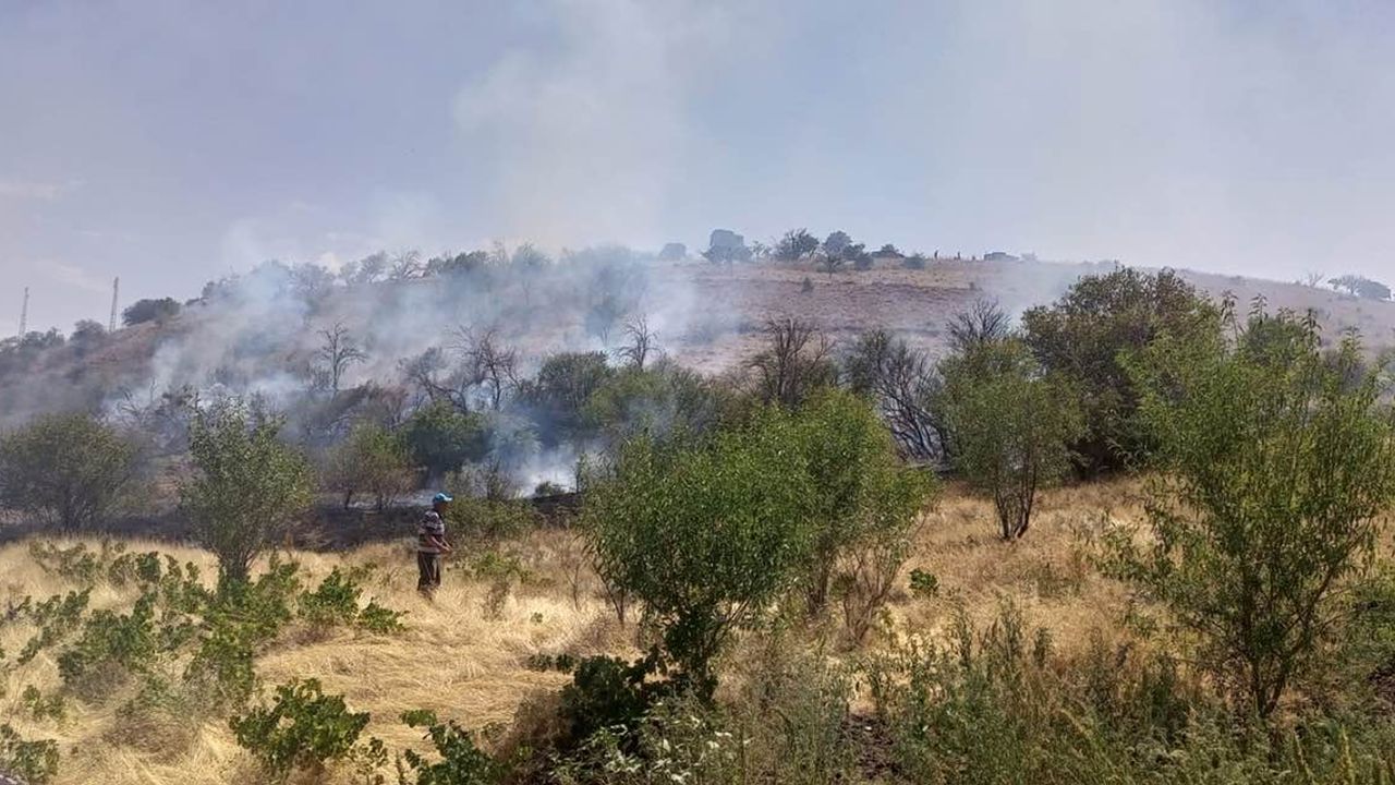 Özbağ'da yangın! 3 dönüm ağaçlık alan yok oldu
