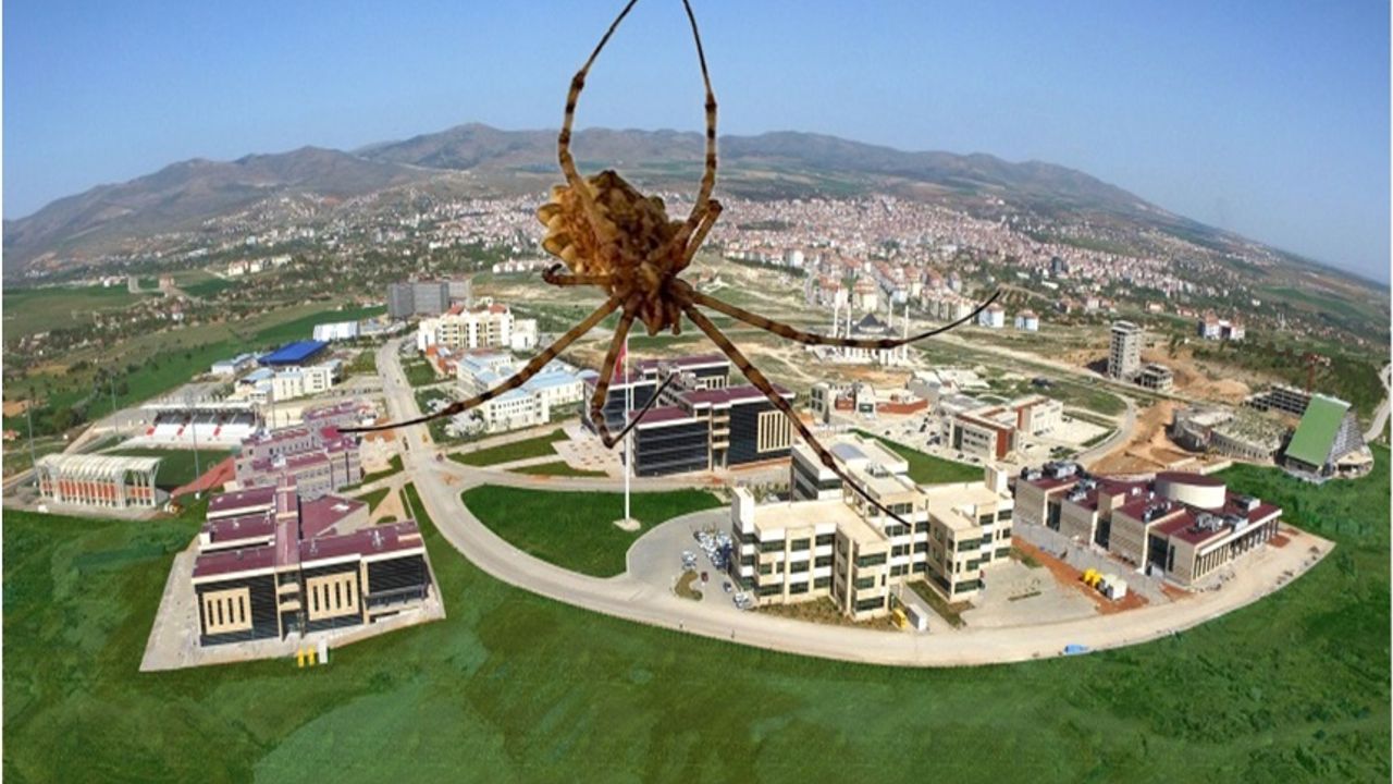Ahi Evran Üniversitesi, Kırşehir'de görülen zehirli örümceği araştırdı