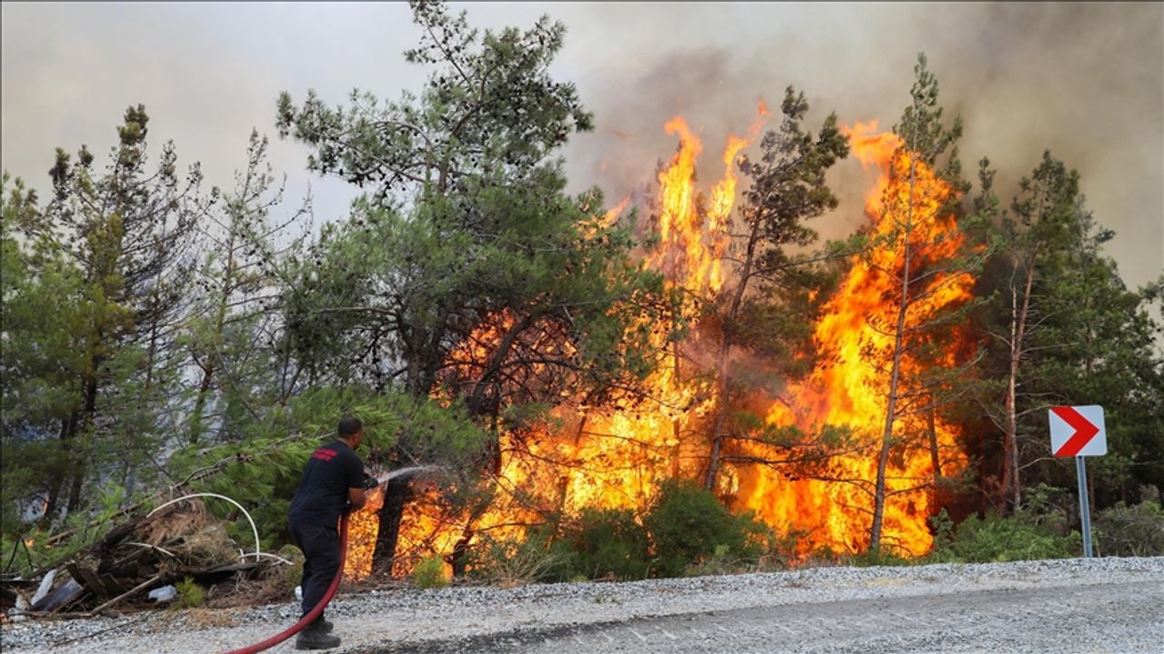 Bu yıl orman yangınlarının  yüzde 80'i ihmal, dikkatsizlik  ve kaza sonucu çıktı