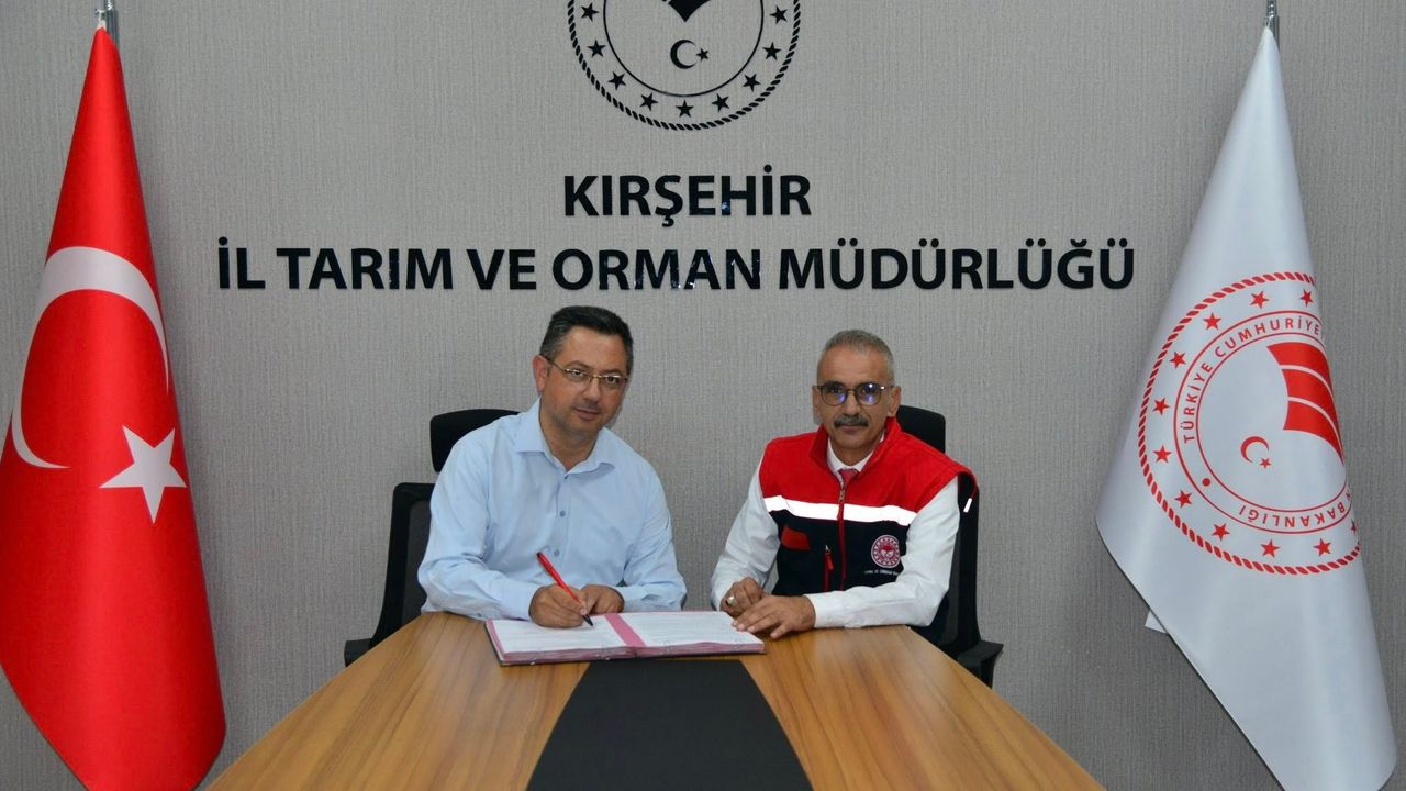 Kırşehir’de büyükbaş besiciliğe yüzde 50 hibe desteği