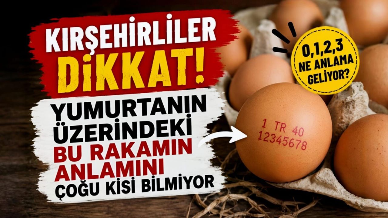 Kırşehirliler Dikkat! Yumurtanın Üzerindeki Bu Rakamın Anlam