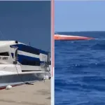 Filo Denizcilik kime ait, kaç ortağı var? FiloJet’in sahibi kimdir, Yakup Dilek kimdir, gemi neden battı?