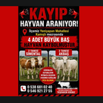 Akçakent Yeniyapan Mahallesi’nde 4 Büyükbaş Hayvan Kayıp