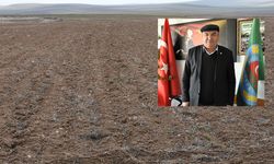 Orta Anadolu'daki kuraklık ekinin çimlenmesini geciktirdi