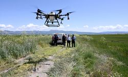 Belediye tarım arazilerini drone kullanarak ilaçladı