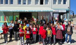 Kırşehir'de gezici kütüphane köydeki çocuklara kitap ulaştırdı