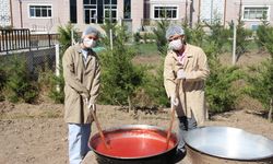 Lise öğrencilerinin yetiştirdiği domates okul pansiyonlarının ihtiyacını karşılıyor