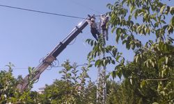 Kırşehir'de eski elektrik direkleri yenileniyor