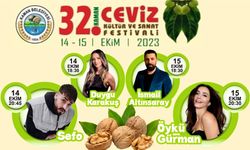 32. Kaman Ceviz Kültür ve  Sanat Festivali Cumartesi günü başlıyor