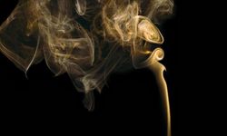    Pasif sigara içiciliği akciğer kanseri riskini yüzde 24 oranında artırıyor