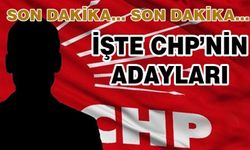 CHP'nin Kırşehir'de adayları belli oldu