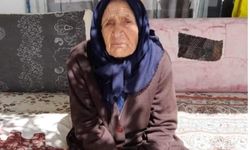 Saraycık Köyü'nden Fadime Yılmaz hayatını kaybetti