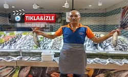 Kırşehirli vatandaşlar palamuta doyacak