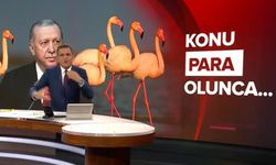 Seyfe Gölü'nün koruma alanının daraltılması ülke gündeminde