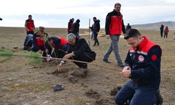 Hayvanların gölgelenmeleri için ağaç dikimi yapıldı