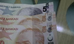 5 ve 50 TL'lik banknotlar tedavüle çıktı