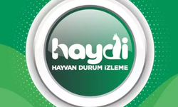 “Haydi” ile Kırşehir’de hayvanlar koruma altında!