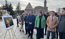 “Tarım Orman ve İnsan” temalı fotoğraf sergisi Cacabey Meydanı’nda!