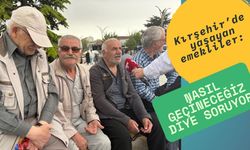 Emeklinin Zorlu Mücadelesi: Ortada mı Kaldı, Ezildi mi?