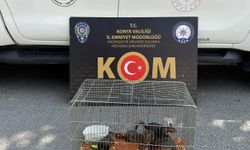 Park halindeki otomobilde çıkan yangın söndürüldü