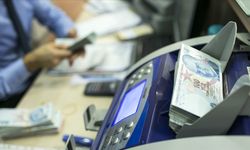 Reel efektif döviz kuru endeksi mayısta ne kadar oldu?