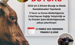 Hayvancılık Desteklemeleri 5 Gün Süreyle İncelemeye Açıldı