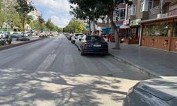 Avrupa’da yaya geçidi üzerine park etmek serbest mi?