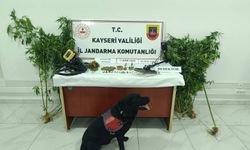 U*uşturucu baskınında tarihi eserler ele geçirildi
