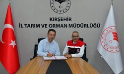 Kırşehir’de büyükbaş besiciliğe yüzde 50 hibe desteği