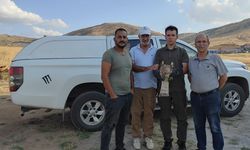 Kırşehir’de yılan kartalı doğaya kavuşaca