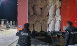 Kırşehir'de durdurulan kamyonda 5 ton kıyılmış tütün çıktı