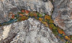 Bozkırın Kalbinde Bir Vaha