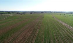 Kadın ve Genç Çiftçiye Öncelik