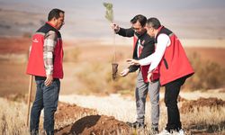 Kaman’da doğa için el ele