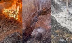 Karahıdır’da arazi yangını: Söğütler kül oldu