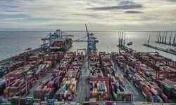 Pazar Yerinden Gümrük Sürecine Her Şey Var