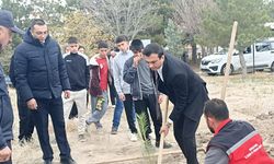 Yeşil Vatan Seferberliği Boztepe’de hayat buldu