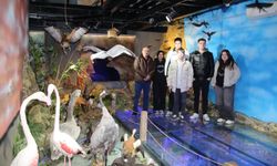 11/B Sınıfı Öğrencileri Tabiat Müzesini gezdi