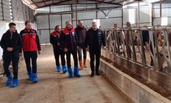 Tarım İl Müdürlüğü’nden Mucur’da Hayvancılık İşletmelerine Ziyaret