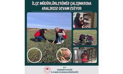 İlçe Müdürlüklerimizden Tarımsal ve Veterinerlik Alanında Yoğun Mesai