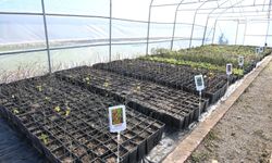 Aromatik Meyveler Kırşehir’de Yetişiyor! Kır-Köy'den Örnek Proje