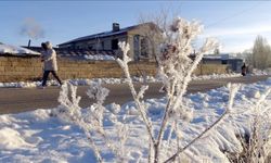 Doğu Anadolu buz tuttu!